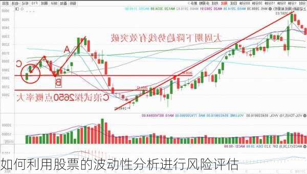 如何利用股票的波动性分析进行风险评估