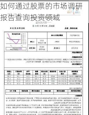 如何通过股票的市场调研报告查询投资领域