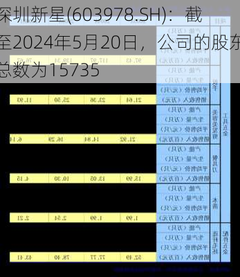 深圳新星(603978.SH)：截至2024年5月20日，公司的股东总数为15735