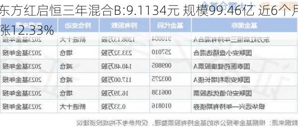 东方红启恒三年混合B:9.1134元 规模99.46亿 近6个月涨12.33%