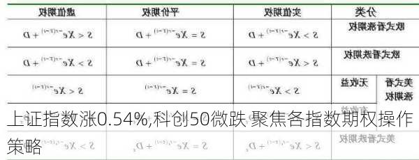 上证指数涨0.54%,科创50微跌 聚焦各指数期权操作策略