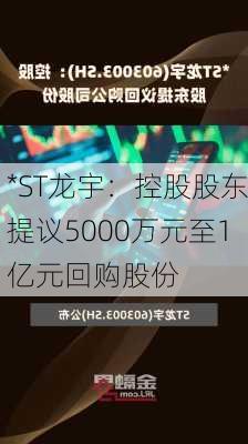 *ST龙宇：控股股东提议5000万元至1亿元回购股份