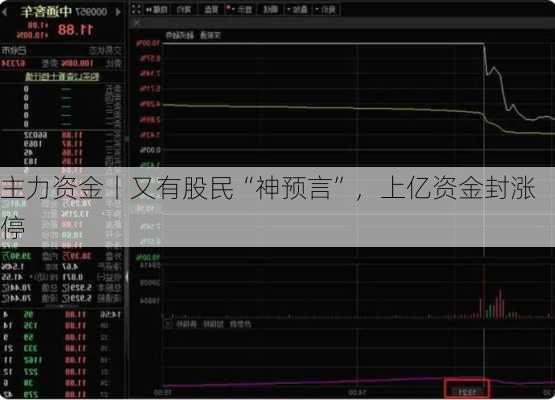 主力资金丨又有股民“神预言”，上亿资金封涨停