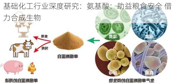 基础化工行业深度研究：氨基酸：助益粮食安全 借力合成生物