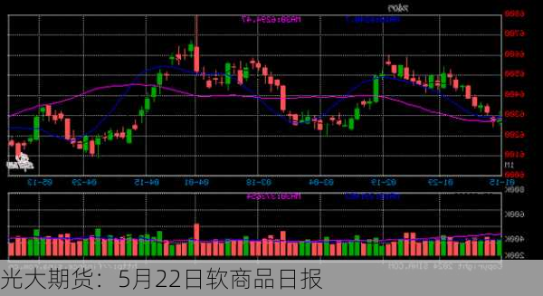 光大期货：5月22日软商品日报