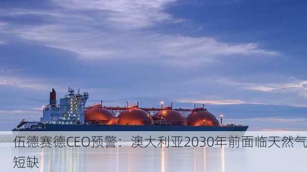 伍德赛德CEO预警：澳大利亚2030年前面临天然气短缺