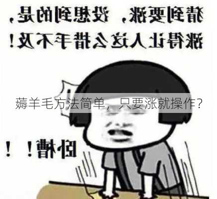 薅羊毛方法简单，只要涨就操作？