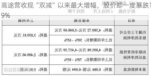 高途营收现“双减”以来最大增幅，股价却一度暴跌19%