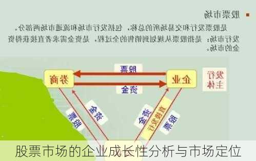 股票市场的企业成长性分析与市场定位