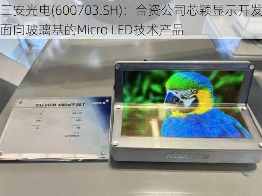 三安光电(600703.SH)：合资公司芯颖显示开发面向玻璃基的Micro LED技术产品