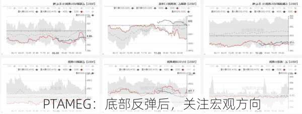 PTAMEG：底部反弹后，关注宏观方向