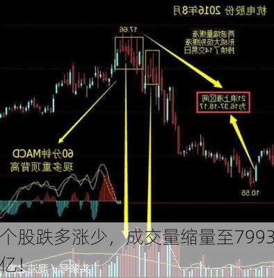 个股跌多涨少，成交量缩量至7993亿！