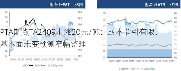 PTA期货TA2409上涨20元/吨：成本指引有限，基本面未变预测窄幅整理