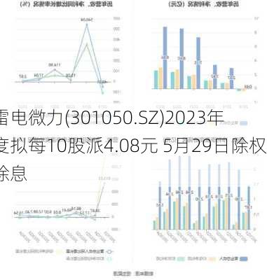 雷电微力(301050.SZ)2023年度拟每10股派4.08元 5月29日除权除息