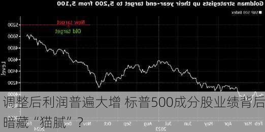 调整后利润普遍大增 标普500成分股业绩背后暗藏“猫腻”？