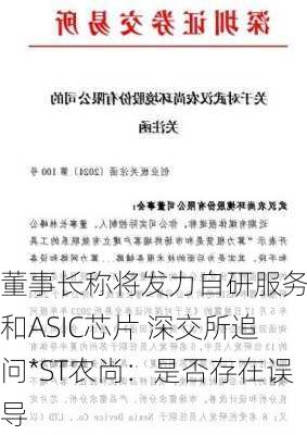 董事长称将发力自研服务器和ASIC芯片 深交所追问*ST农尚：是否存在误导