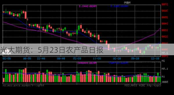 光大期货：5月23日农产品日报