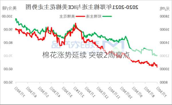 棉花涨势延续 突破2周高点