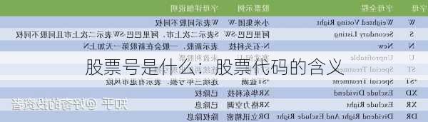 股票号是什么：股票代码的含义