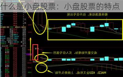 什么是小盘股票：小盘股票的特点