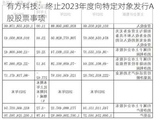 有方科技：终止2023年度向特定对象发行A股股票事项