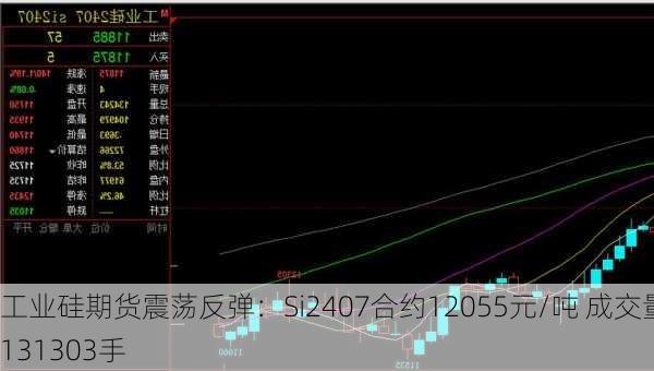 工业硅期货震荡反弹：Si2407合约12055元/吨 成交量131303手