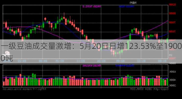 一级豆油成交量激增：5月20日日增123.53%至19000吨