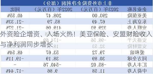 外资险企增资、入场火热！美亚保险、安盟财险收入与净利润同步增长