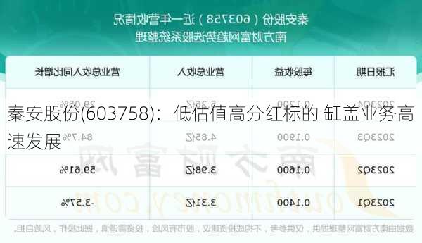 秦安股份(603758)：低估值高分红标的 缸盖业务高速发展