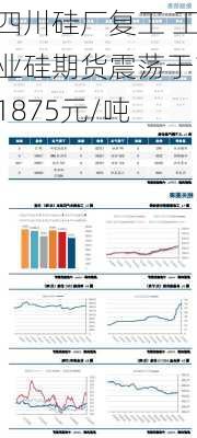 四川硅厂复工 工业硅期货震荡于11875元/吨