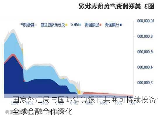 国家外汇局与国际清算银行共商可持续投资：全球金融合作深化