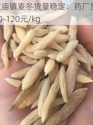 欧庙镇麦冬货量稳定：药厂货110-120元/kg