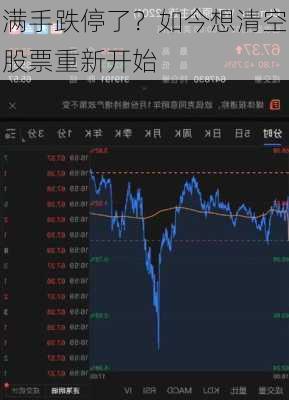 满手跌停了？如今想清空股票重新开始