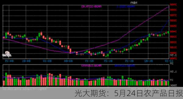 光大期货：5月24日农产品日报