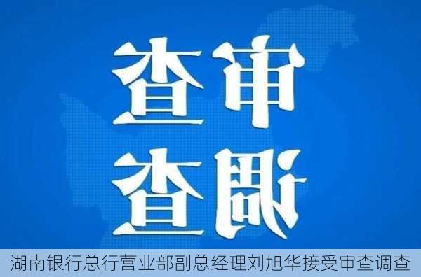 湖南银行总行营业部副总经理刘旭华接受审查调查