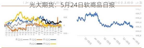 光大期货：5月24日软商品日报