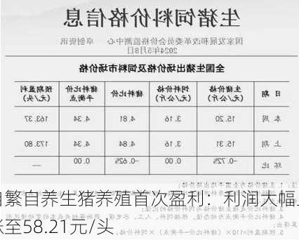 自繁自养生猪养殖首次盈利：利润大幅上涨至58.21元/头