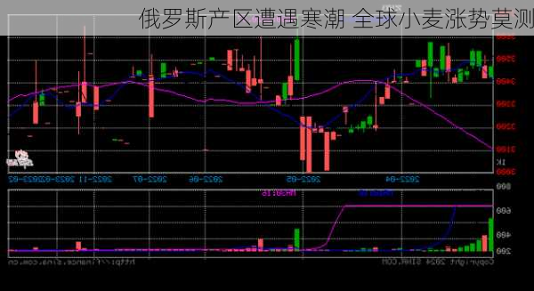 俄罗斯产区遭遇寒潮 全球小麦涨势莫测