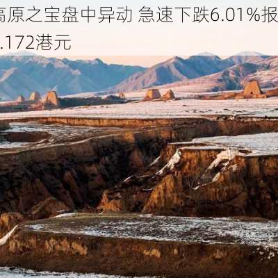 高原之宝盘中异动 急速下跌6.01%报0.172港元