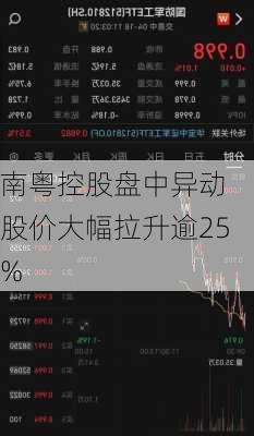 南粤控股盘中异动 股价大幅拉升逾25%