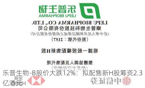 乐普生物-B股价大跌12%：拟配售新H股筹资2.3亿港元