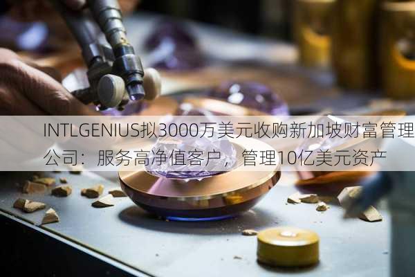 INTLGENIUS拟3000万美元收购新加坡财富管理公司：服务高净值客户，管理10亿美元资产