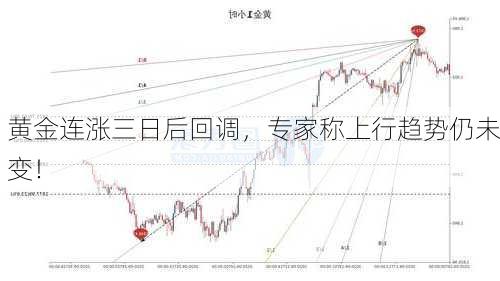 黄金连涨三日后回调，专家称上行趋势仍未变！