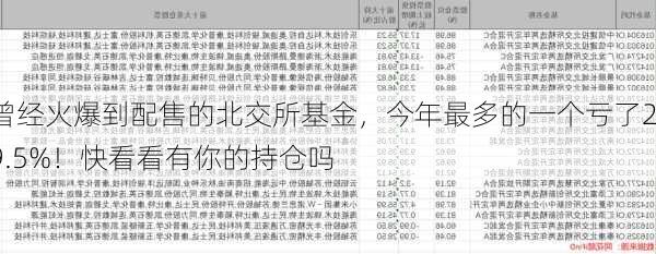 曾经火爆到配售的北交所基金，今年最多的一个亏了29.5%！快看看有你的持仓吗