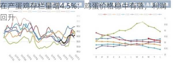 在产蛋鸡存栏量增4.5%：鸡蛋价格稳中有落，利润回升