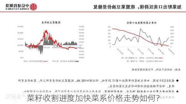 菜籽收割进度加快菜系价格走势如何？