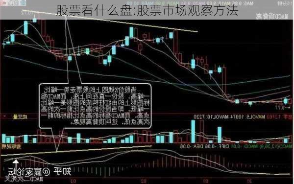 股票看什么盘:股票市场观察方法