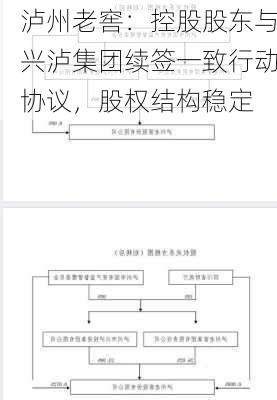 泸州老窖：控股股东与兴泸集团续签一致行动协议，股权结构稳定