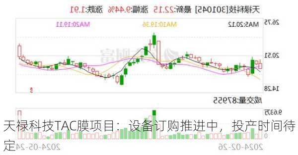 天禄科技TAC膜项目：设备订购推进中，投产时间待定