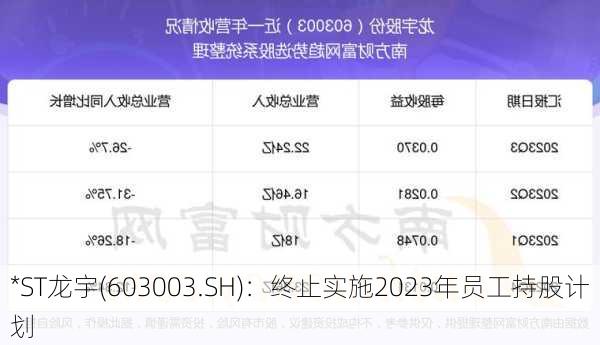 *ST龙宇(603003.SH)：终止实施2023年员工持股计划